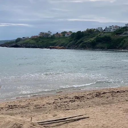 Great Choice Apartment