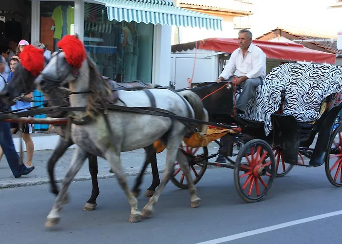 Апартамент Great Choice Черноморец